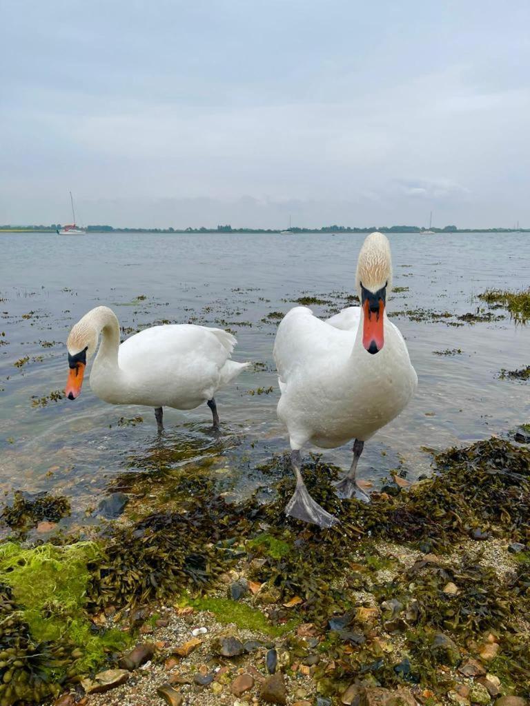 Hotel Sea Breeze Ark 900 Emsworth Exterior foto